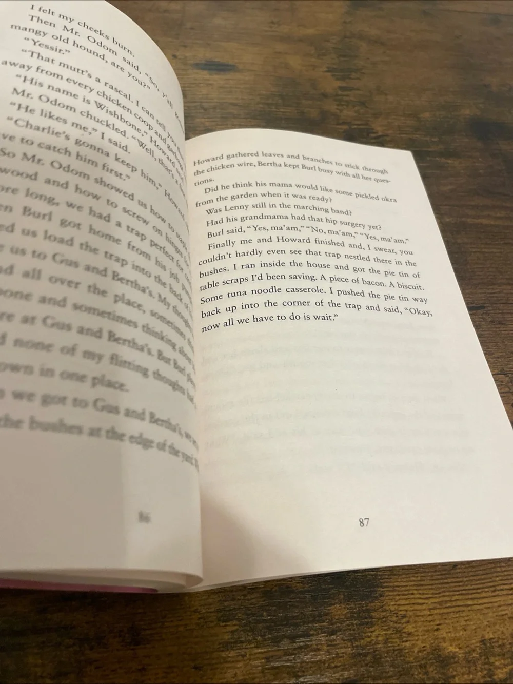 Wish By Barbara O'Connor~ Preowned